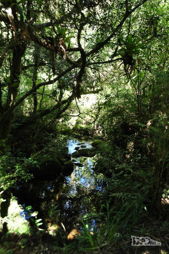 Atravessando o pequeno riacho no Vale da Luva, parte alta do Parque Nacional da Serra dos Órgãos, no Rio de Janeiro